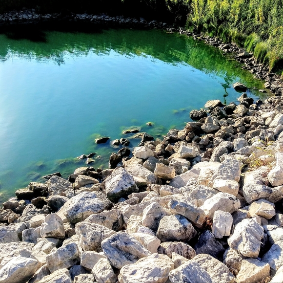 Wall Decor - Picture 12 of 16